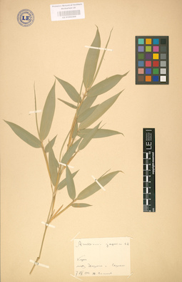 LE 01002369