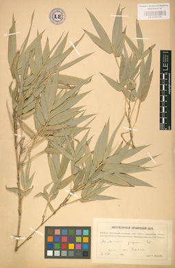 LE 01002370