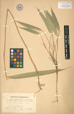 LE 01002371