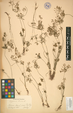 LE 01002386