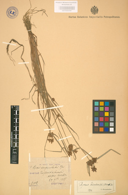 LE 01002390