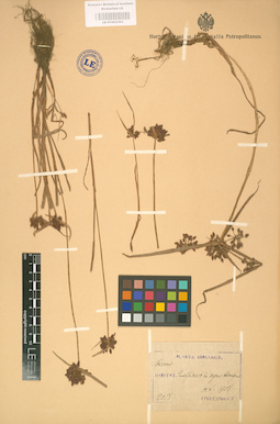 LE 01002393