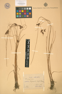 LE 01002403