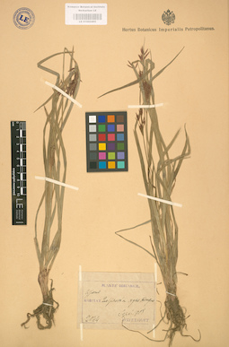 LE 01002405