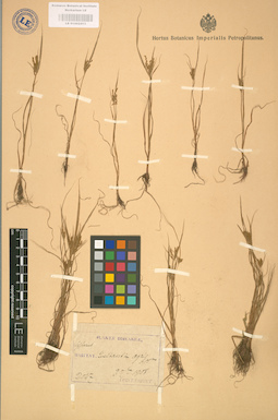 LE 01002413
