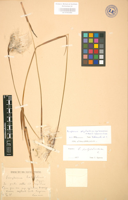 LE 01002486