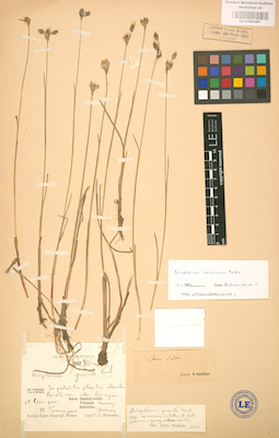 LE 01002487