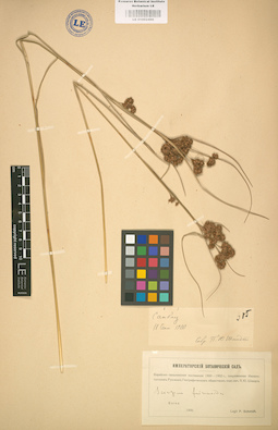 LE 01002496