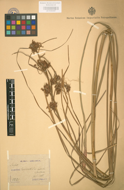 LE 01002497