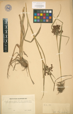 LE 01002499