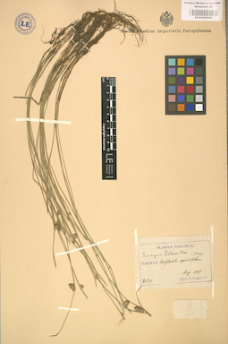 LE 01002500