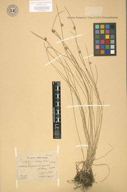 LE 01002501