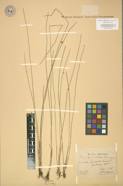 LE 01002502