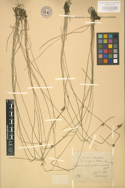 LE 01002503