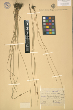 LE 01002504