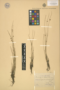 LE 01002505