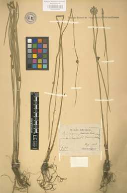 LE 01002507