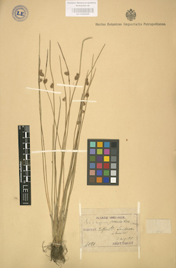 LE 01002509