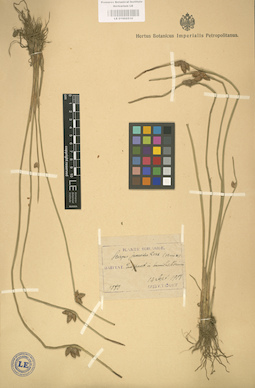 LE 01002510