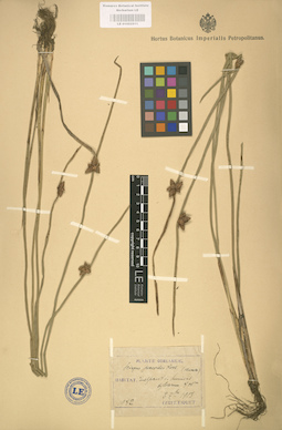 LE 01002511