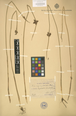 LE 01002512