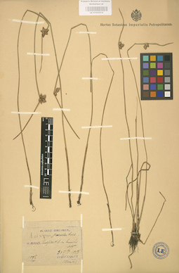 LE 01002514