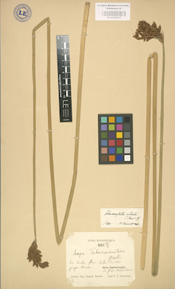 LE 01002515