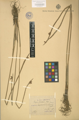 LE 01002516