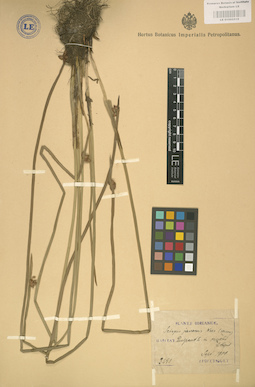 LE 01002518