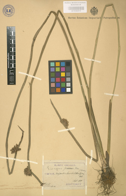 LE 01002519