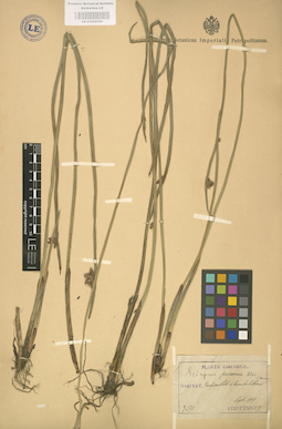 LE 01002520
