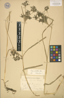 LE 01002522