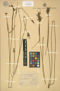 LE 01002524