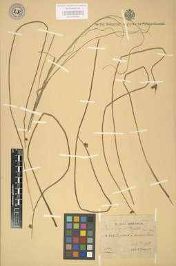 LE 01002525