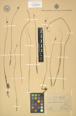 LE 01002526