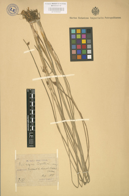 LE 01002527