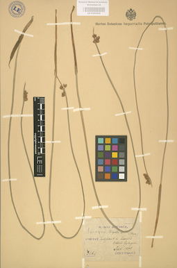 LE 01002528