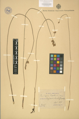 LE 01002529