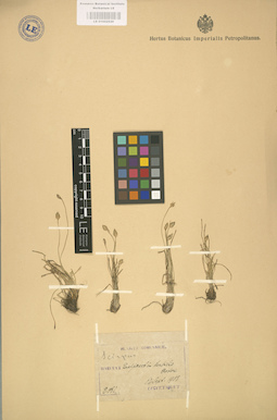 LE 01002530