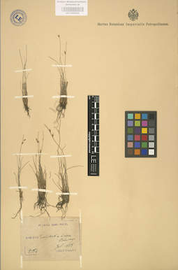 LE 01002532