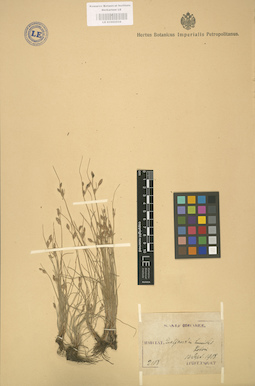 LE 01002534