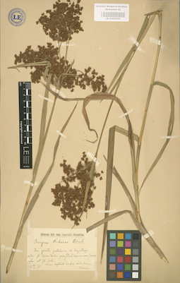 LE 01002535