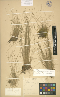 LE 01002536
