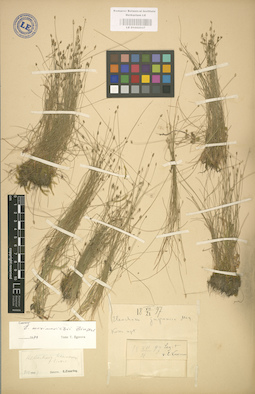 LE 01002537
