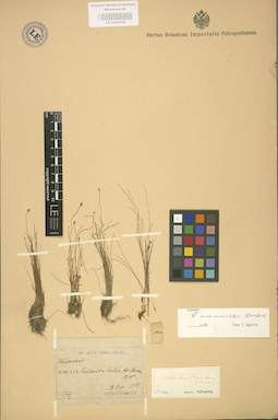 LE 01002538