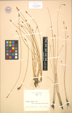 LE 01002540