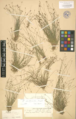 LE 01002541