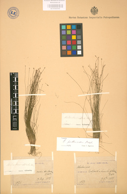LE 01002542