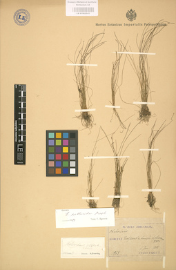 LE 01002543