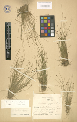 LE 01002544